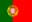 Português icon