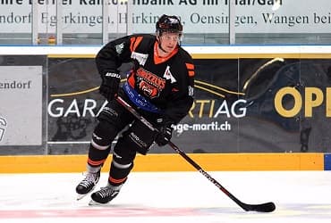 Grizzlys Wolfsburg