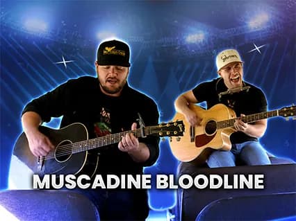 Muscadine Bloodline